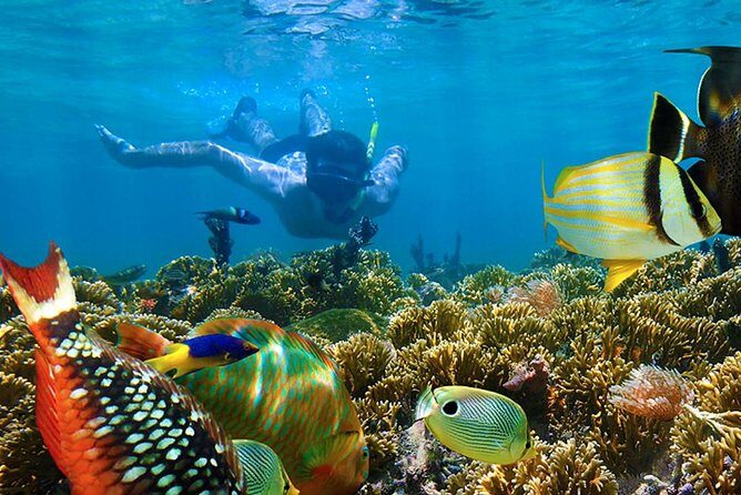 Full-Day Adventure: 4x4 Experience, Snorkeling Cruise, Sharks & Rays - Final Thoughts on the Experience