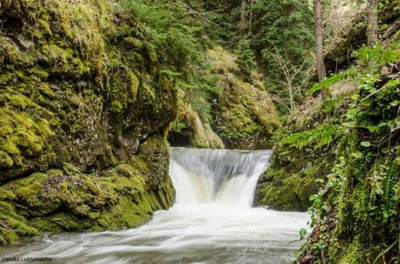 Full Day Adventure in Borjomi! - What Travelers Say