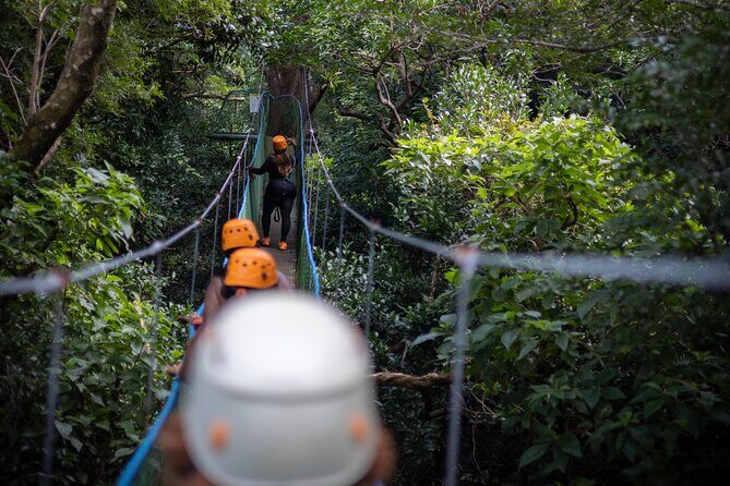 Full Day Adventure Tour - The Sum Up: Who Will Love This Tour?