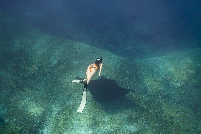 Full-Day Adventure Tour to komodo Island with join Speed Boat tur - What Sets This Tour Apart?