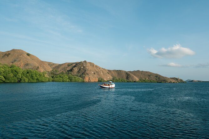 Full-Day Adventure Tour to komodo Island with join Speed Boat tur - Final Thoughts