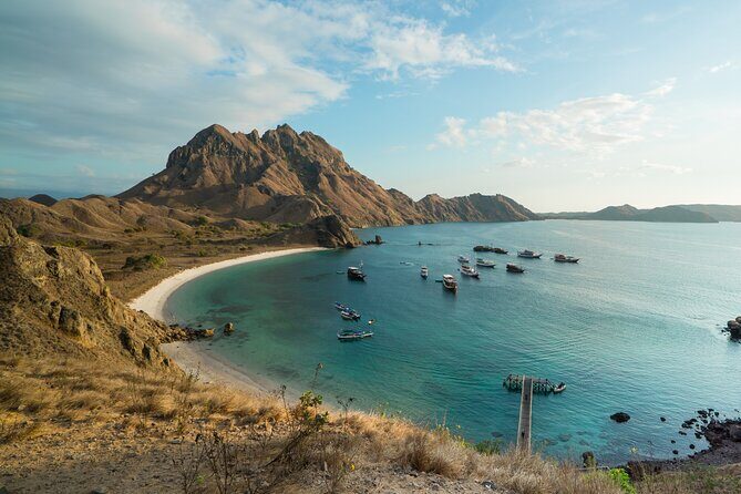 Full-Day Adventure Tour to komodo Island with join Speed Boat tur - FAQ