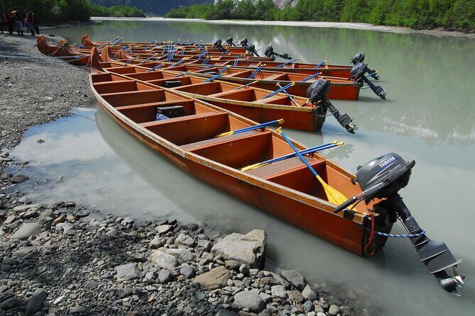 Full-Day Alaska Wildlife Voyageur Canoe Safari from Skagway - Key Points