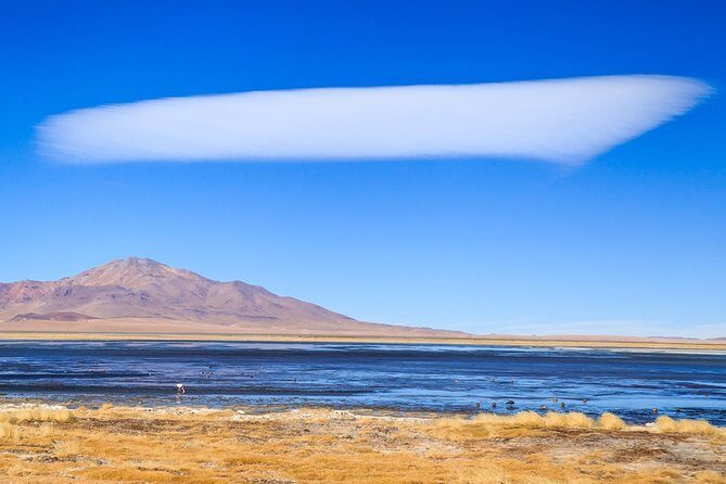 Full day Altiplanic Lagoons + Red stones viewpoint + Salar de Atacama - Who Should Consider This Tour