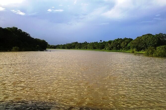 Full-Day Amazon River Tour, The Best Attractions of Amazon - An Overview of the Full-Day Amazon River Tour