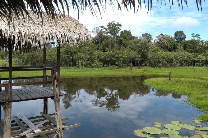 Full-Day Amazon River Tour, The Best Attractions of Amazon - Key Points