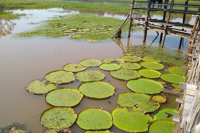 Full-Day Amazon River Tour, The Best Attractions of Amazon - FAQ