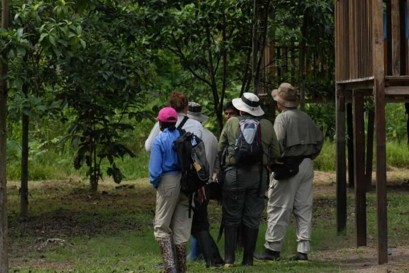 FULL DAY AMAZONAS  CAPINURÍ LODGE - Discover the Amazon with the Full Day Amazonas Capinurí Lodge Tour
