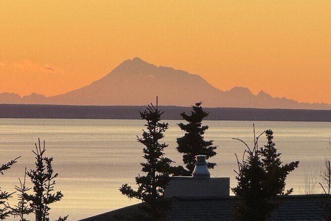 Full Day Anchorage Tour with Alaskan Guide - Key Points