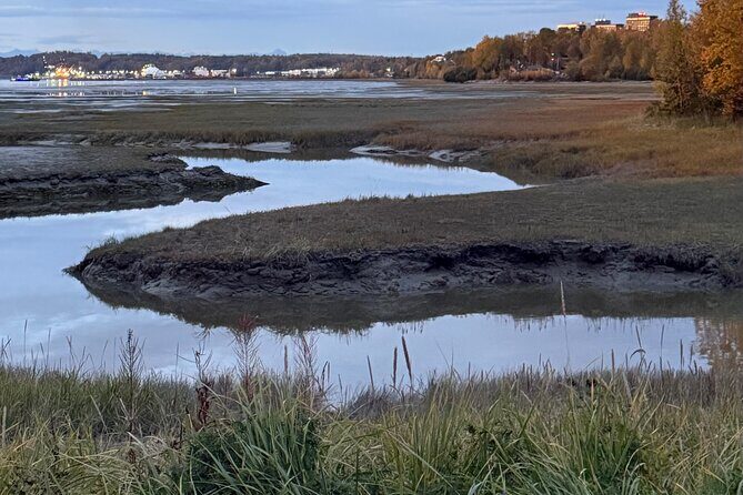 Full Day Anchorage Tour with Alaskan Guide - FAQ