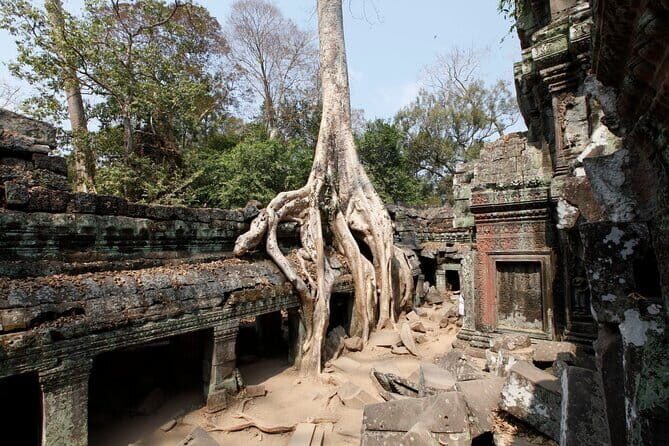 Full-day Angkor Private Tour - Who Should Consider This Tour?