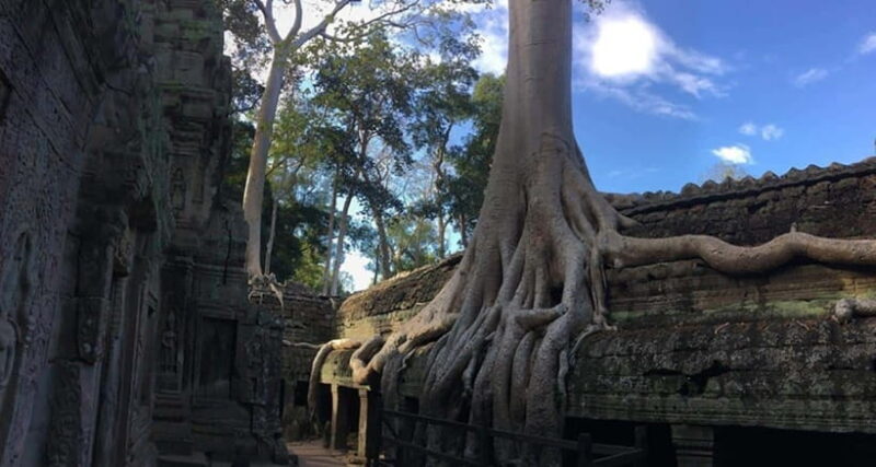 Full Day Angkor & Tonle Sap Lake Tour - Who Should Consider This Tour?