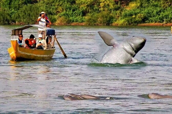 Full-Day Angkor Wat & All Must-See with Banteay Srei Private Tour - Final Thoughts