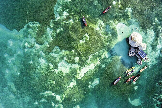 Full Day Appleton Rum YS Falls & Pelican Bar Group Tour - Final Thoughts