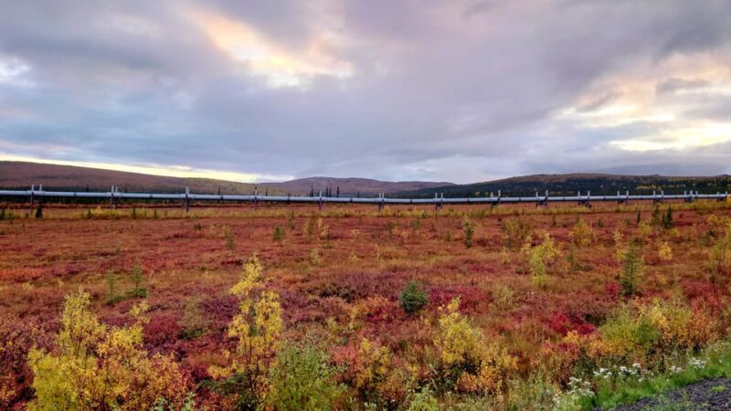 Full Day Arctic Circle Adventure From Fairbanks - Why This Tour Is Worth Considering