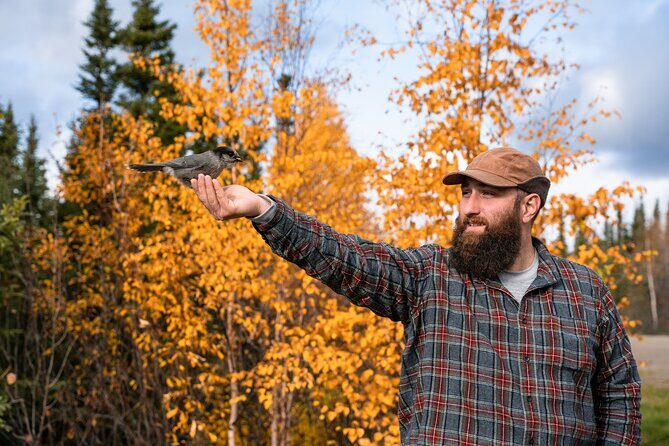 Full Day Arctic Circle Experience with Lunch - Who Should Consider This Tour?