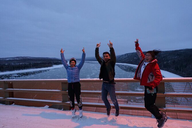 Full Day Arctic Circle Tour - The Full Experience: A Deep Dive into the Arctic Circle Tour