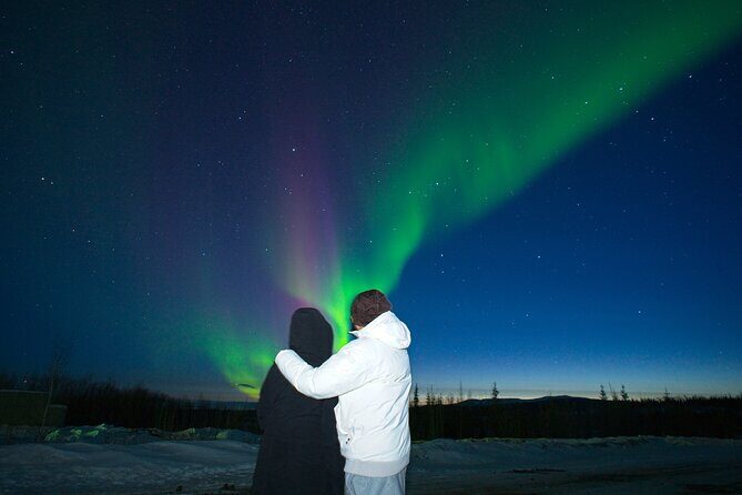 Full Day Arctic Circle Tour - Final Thoughts