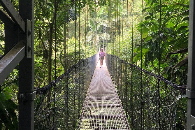 Full-Day Arenal Inspirations Combo: Waterfall, Bridges, Volcano - A Detailed Look at the Full-Day Arenal Inspirations Tour