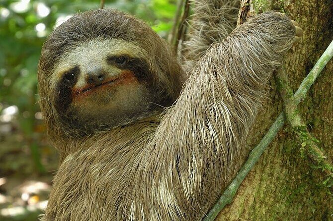 Full-Day Arenal Inspirations Combo: Waterfall, Bridges, Volcano - FAQ