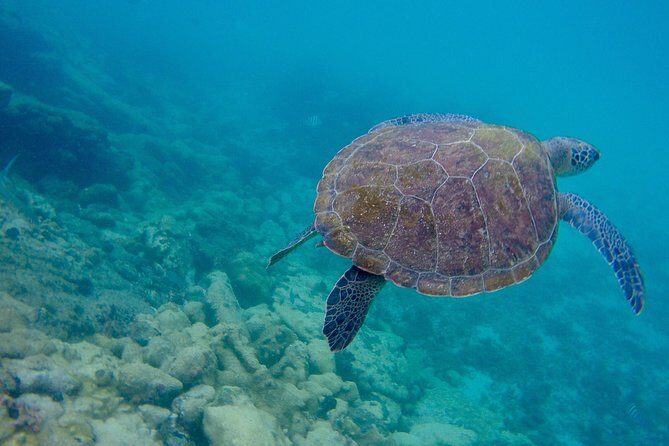 Full Day Around the Island of Ilha Grande and Its Beaches - Final Thoughts: Is This the Right Tour for You?