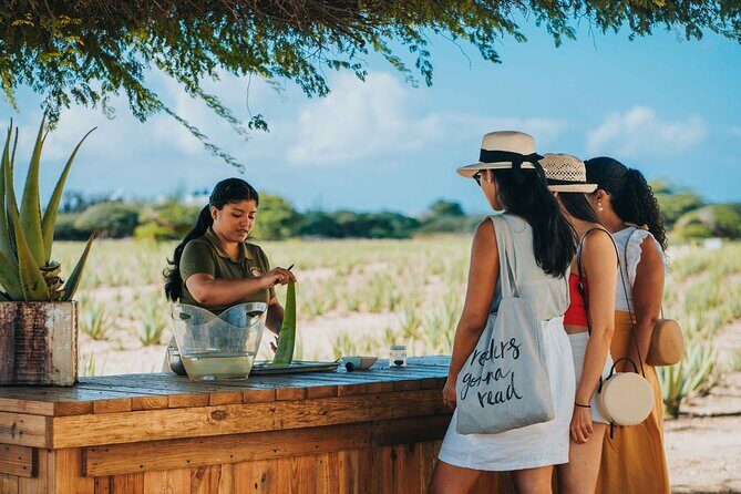 Full-Day Aruba History and Must-See Landmarks Tour - A Closer Look at the Aruba Full-Day Landmarks Tour