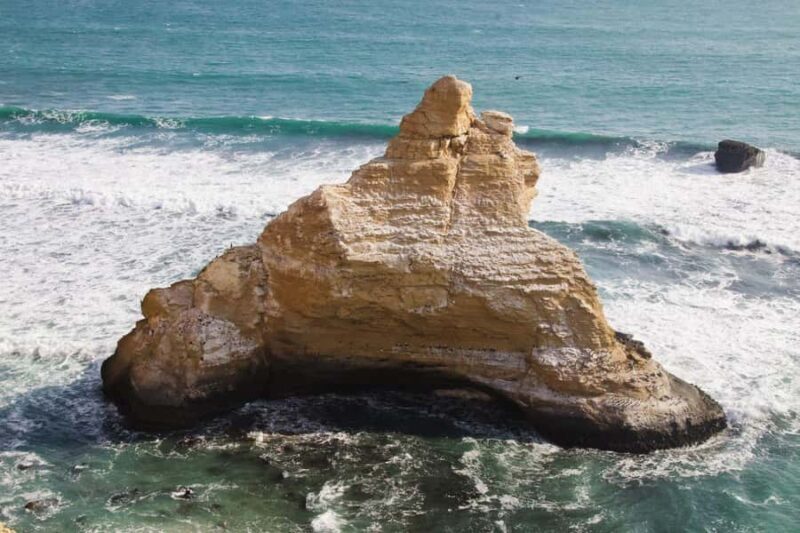 Full Day at Ballestas Islands & Paracas Reserve - A Detailed Review of the Full Day Tour