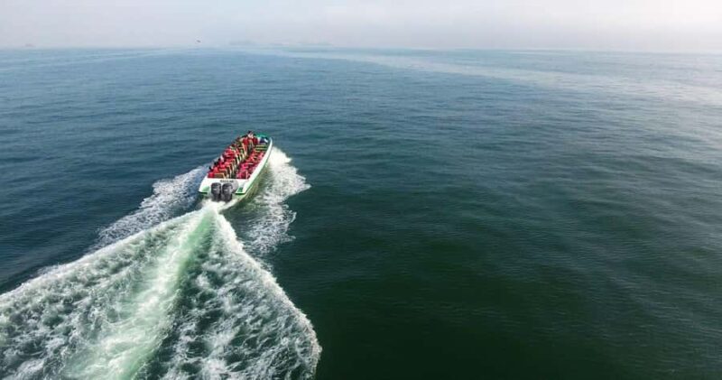 Full Day at Ballestas Islands & Paracas Reserve - FAQ