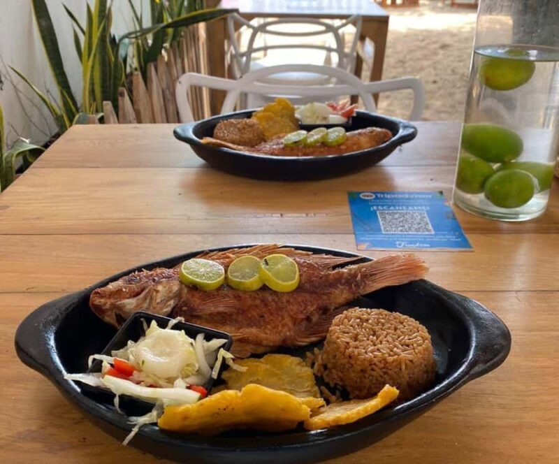 Full day at Barú island by boat: Snorkel + Sunset + Plankton - Final Thoughts: Is This Tour Worth It?