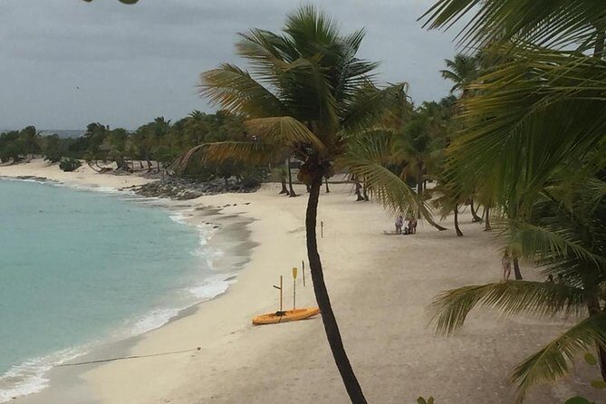 Full-day at Catalina Island from Santo Domingo with optional snorkeling included - FAQs