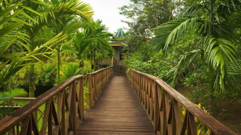 Full Day At Sepilok Orangutan, Sun Bear & Sandakan City Tour - What Makes This Tour Stand Out