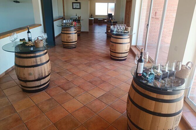 Full day at the winery, visit, tasting, aperitif and lunch - Practical Tips