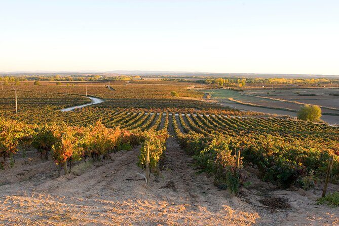 Full day at the winery, visit, tasting, aperitif and lunch - FAQ