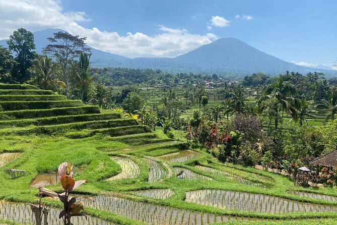 Full Day Bali Scooter Tour - FAQs