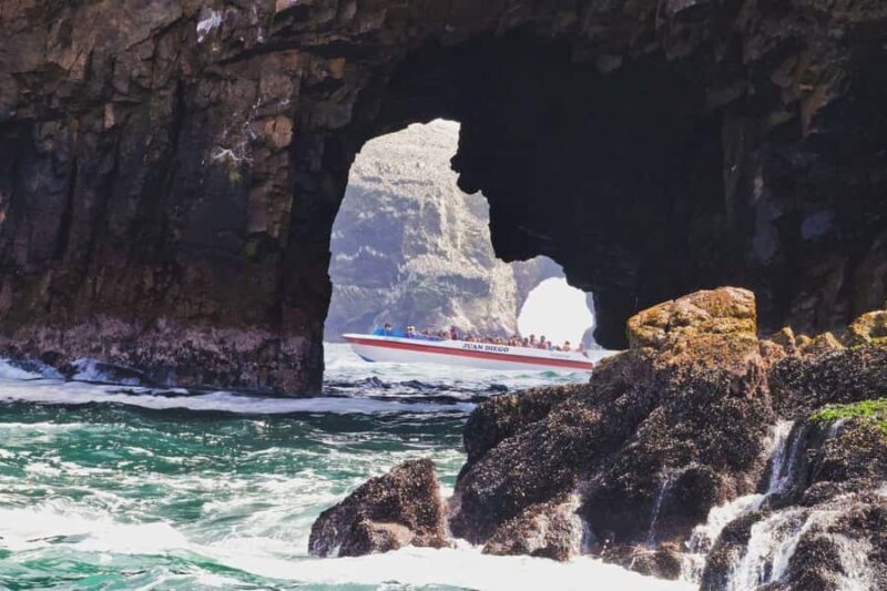 Full Day Ballestas  Overflight  Huacachina Tubulares tour - Key Points