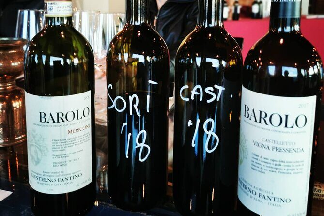 Full day Barolo&Barbaresco Wine Tour from Milano with a local winemaker - An In-Depth Look at the Piedmont Wine Tour