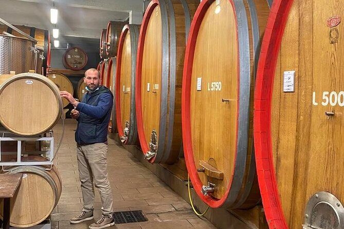 Full day Barolo&Barbaresco Wine Tour from Torino with a local winemaker - Experience the Charm of Piemonte on a Full-Day Barolo & Barbaresco Wine Tour from Turin