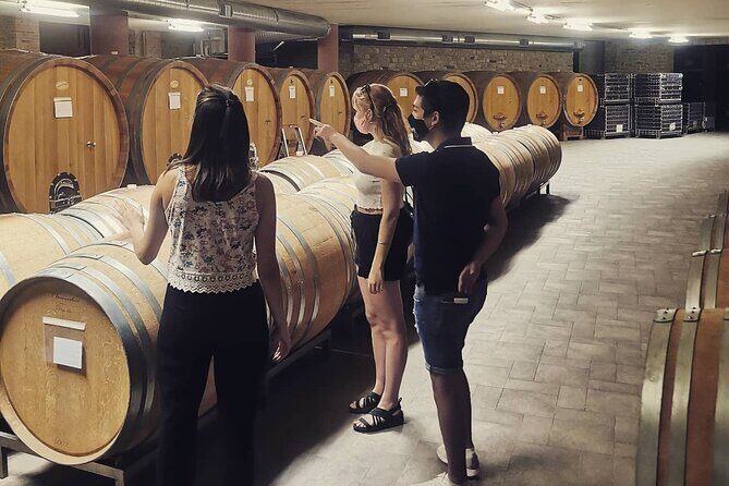Full day Barolo&Barbaresco Wine Tour from Torino with a local winemaker - What Makes This Tour Stand Out?