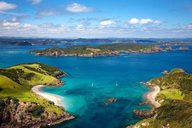 Full-Day Bay of Islands Tour by Vigilant Yacht Charters - Key Points