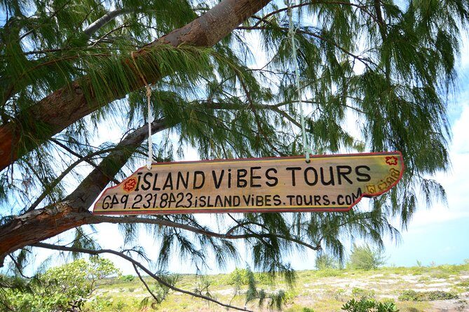 Full Day Beach BBQ Lunch & Snorkeling Excursion in Grace Bay - Key Points