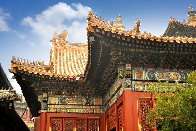 Full-Day Beijing City Tour: Hutongs, Lama Temple and Panda House - Exploring Beijing in Depth: A Practical Review