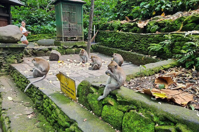 Full Day Best of Ubud Private Tour - Final Thoughts: Is This Tour Right for You?