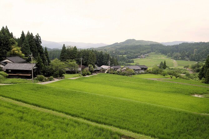 Full-Day Bicycle Tour on the Noto Peninsula - A Taste of Japan’s Noto Peninsula by Bicycle