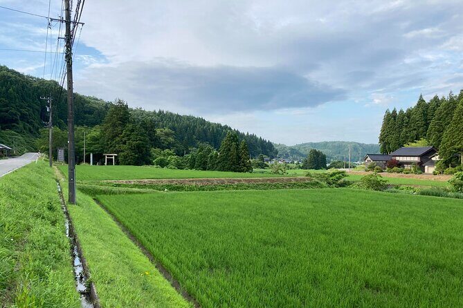 Full-Day Bicycle Tour on the Noto Peninsula - Exploring the Noto Peninsula by Bicycle