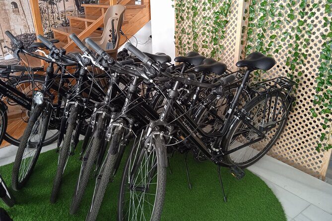 Full Day Bike Rental in Seville - Why Rent a Bike in Seville?