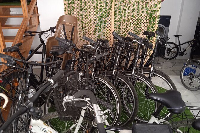 Full Day Bike Rental in Seville - What to Expect on Your Bike Rental Day