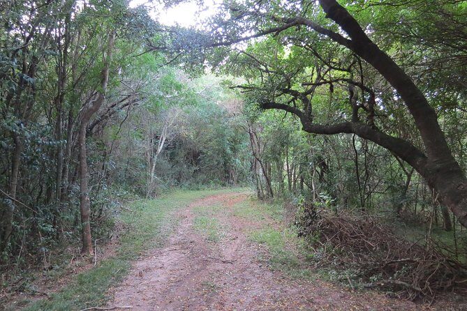 Full Day Birdwatching and Nature Tour - What’s Included and What’s Not