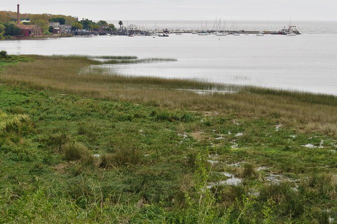 Full Day Birdwatching and Nature Tour - Who Should Consider This Tour?