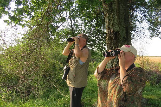 Full Day Birdwatching and Nature Tour - Final Thoughts