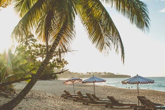 Full-Day Blue Lagoon Tour in Dominican Republic - FAQ